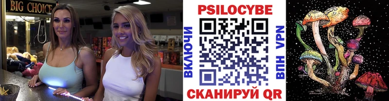 Купить  Чекалин  Псилоцибиновые грибы мицелий 